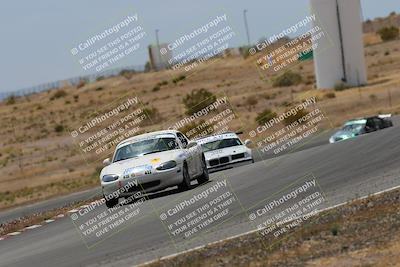 media/May-03-2025-Lucky Dog Racing (Sat) [[206de64b9d]]/Turn 6 (150pm-230pm)/